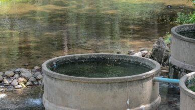 Hot Spring