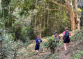 treakking