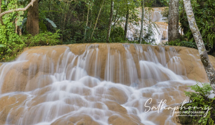 Beautiful limestone waterfall at Sri Sangwan Waterfall in Chiang Dao, Chiang Mai, Thailand