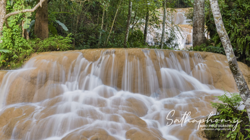 One Day Nature Trip in Chiang Dao by Motorbike