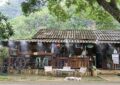 Hut Cafe’ in Chiang Dao surrounded by large trees and mountain views in Northern Thailand