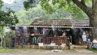 Hut Cafe’ in Chiang Dao surrounded by large trees and mountain views in Northern Thailand